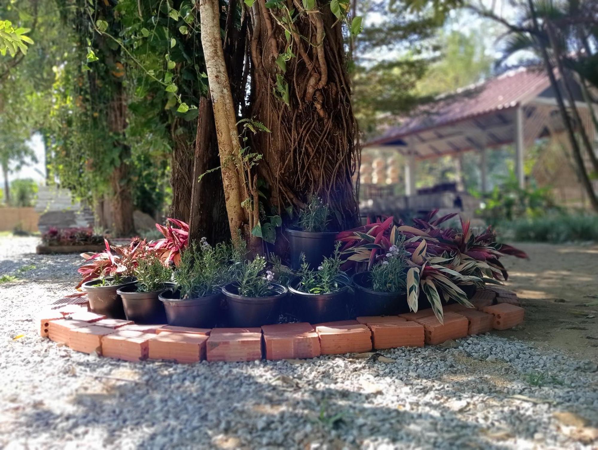 Vangvieng Ruby'Homestay Vang Vieng Exteriör bild