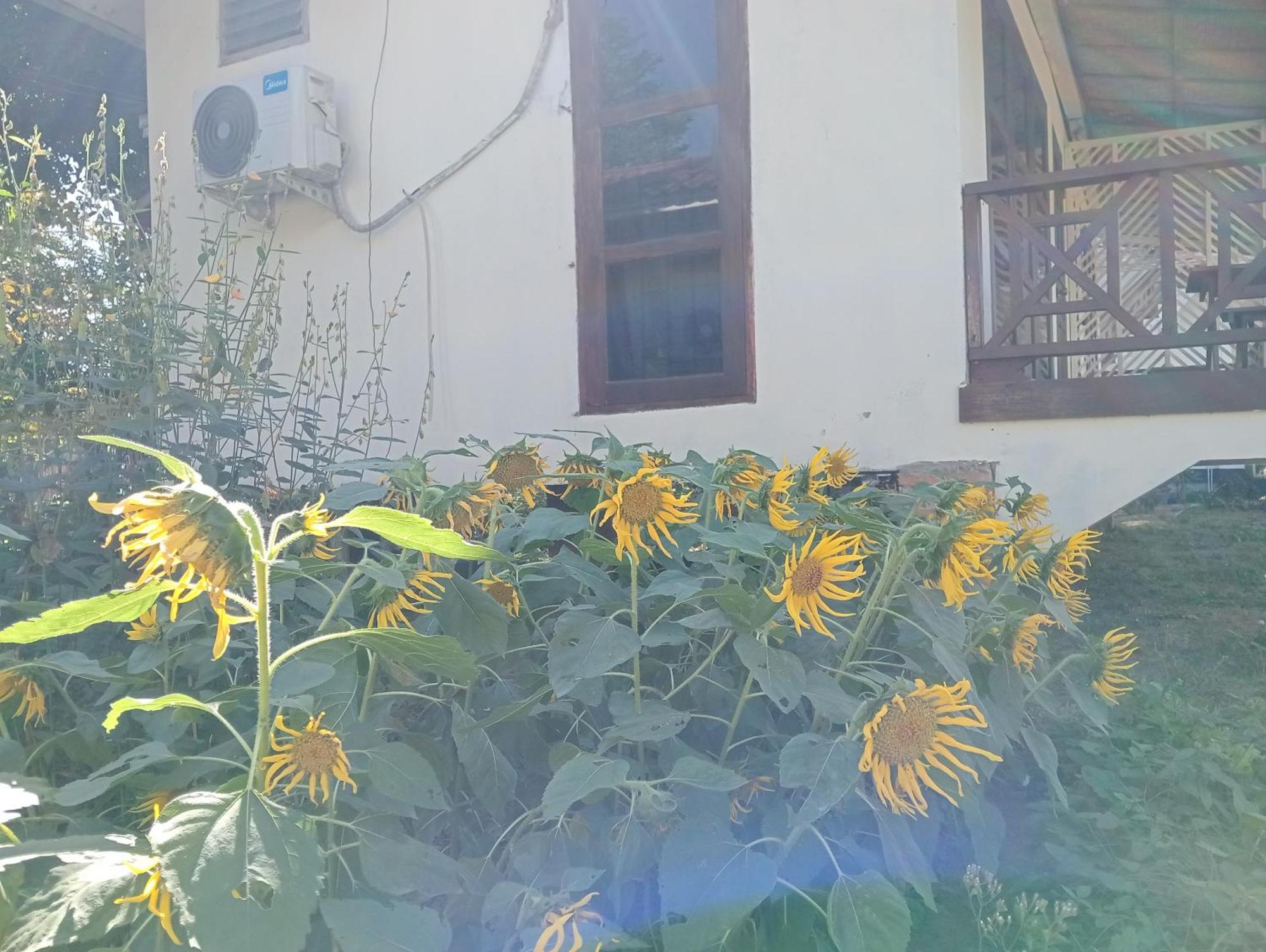 Vangvieng Ruby'Homestay Vang Vieng Exteriör bild